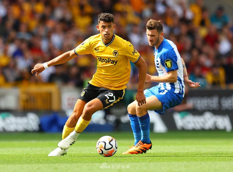 黑的重要性 黑的重要性